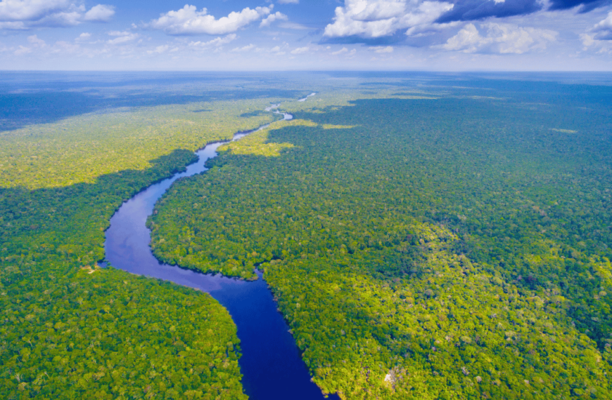 Planejamento para Momentos Críticos da Seca nos Rios da Amazônia: Um Desafio para a Economia Nacional